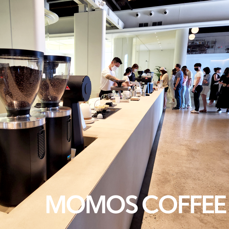  부산 영도 카페 I 월드 바리스타챔피언이 직접 내려주는 모모스커피, MOMOS COFFEE