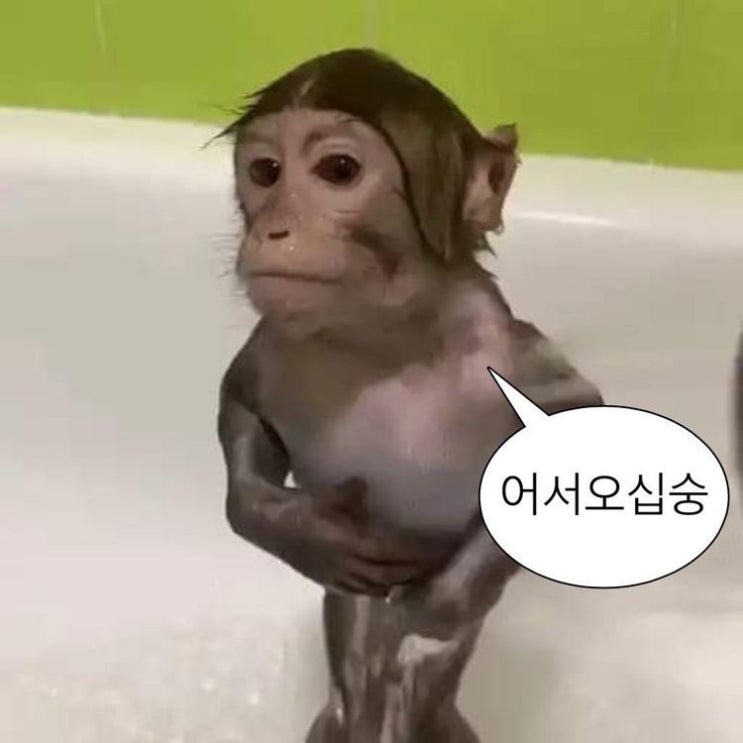  젠장 대학 가야하는데