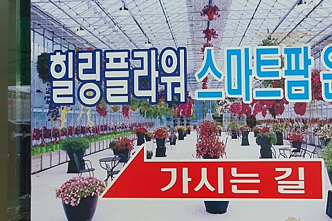 담양힐링스마트팜 이미지