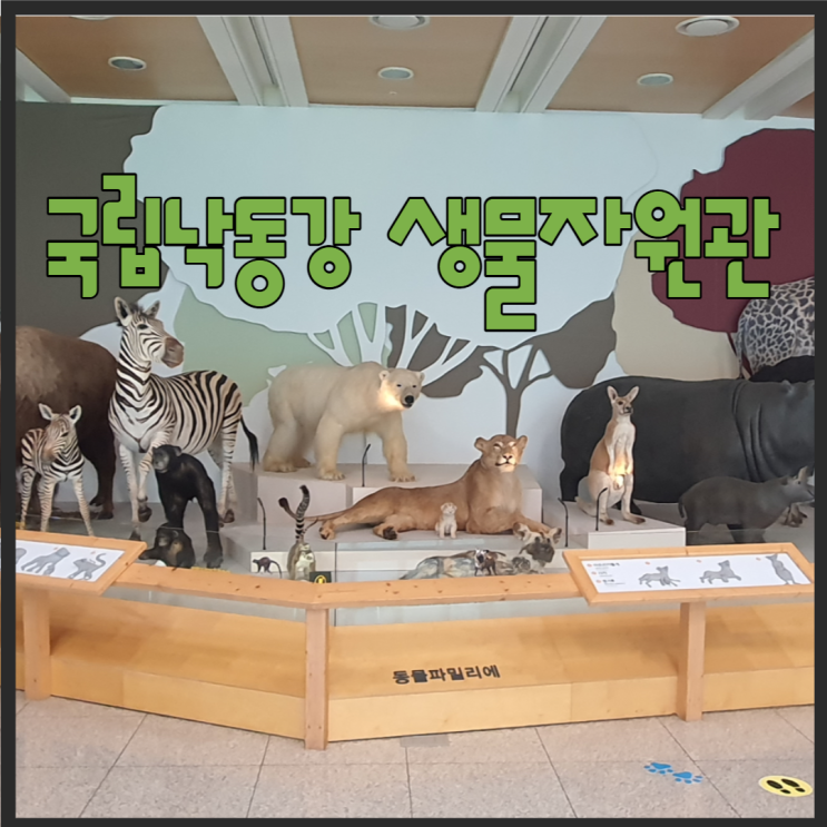  국립낙동강생물자원관 장점 3가지 <상주생태박물관>
