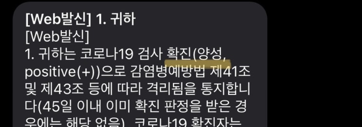  로나코 8월 3주차