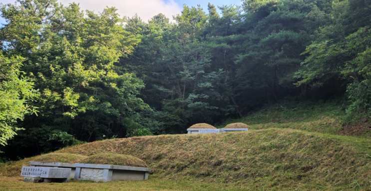 올해도 할아버지 할머니 산소 벌초하고 왔습니다! 올해도 할아버지 할머니 산소 벌초하고 왔습니다!