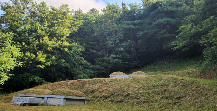 올해도 할아버지 할머니 산소 벌초하고 왔습니다!