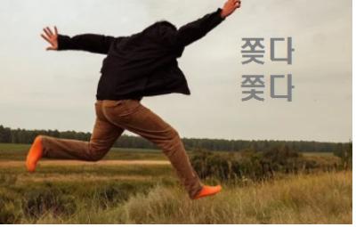  쫒다 쫓다 차이