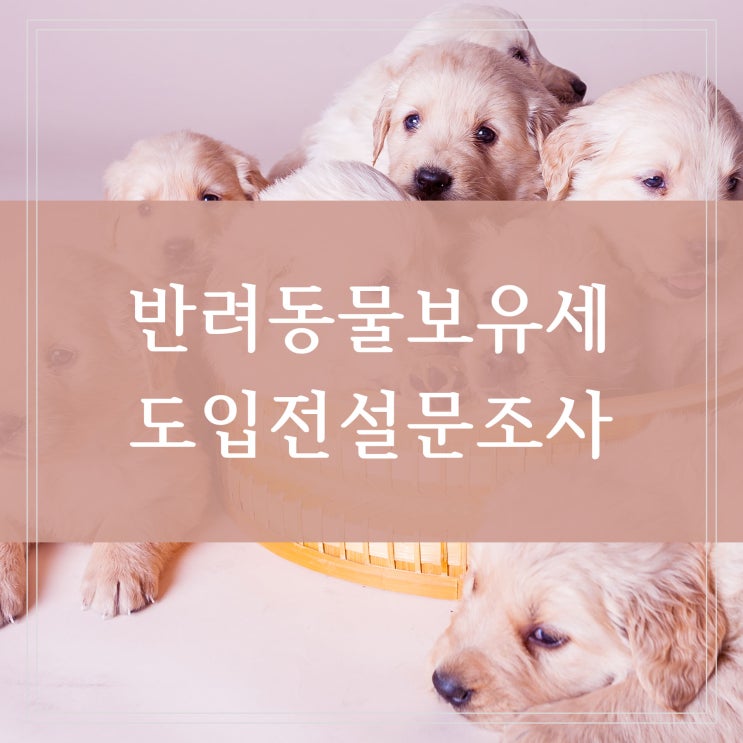  반려동물 세금 반려견 애완견 키울 때 강아지 보유세 도입 검토 실효성 있을까 설문조사 기간