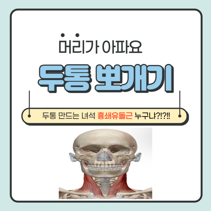  두통을 만드는 녀석! 흉쇄유돌근 너는 누구냐?