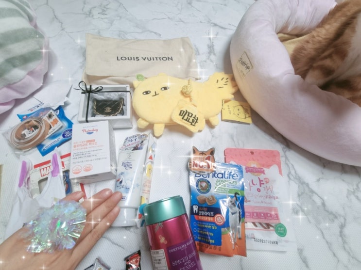 고양이 용품 가득 들어있던 집사 선물과 네이버 오늘의 토픽 선정