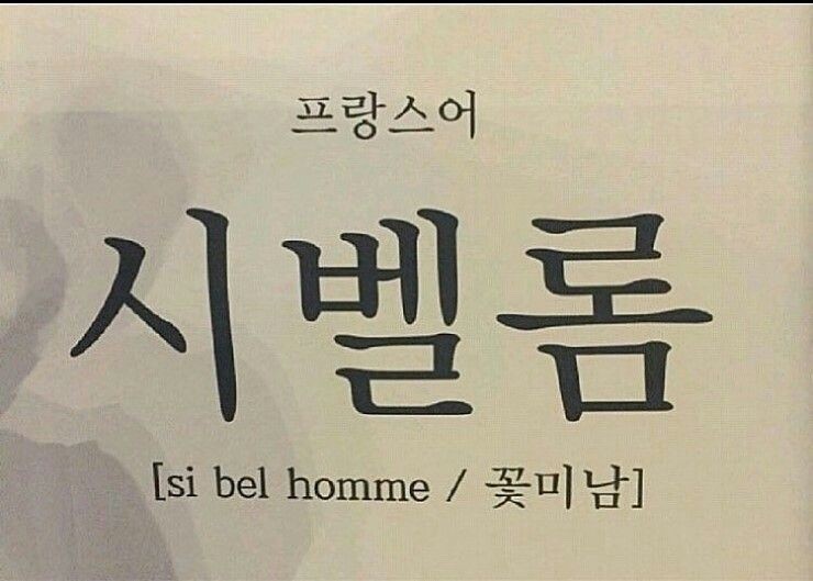  [글쓰기챌린지] | 방송국 분쟁과 시벨롬