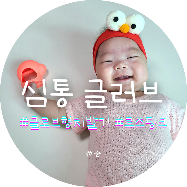 주먹고기 시작해서 심통 글로브 치발기를 줬어요 w.모윰과 비교