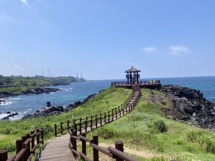  제주도여행 4 : 제주 동쪽 여행(+닭머르, 만월당, 오른, 마마네횟집)
