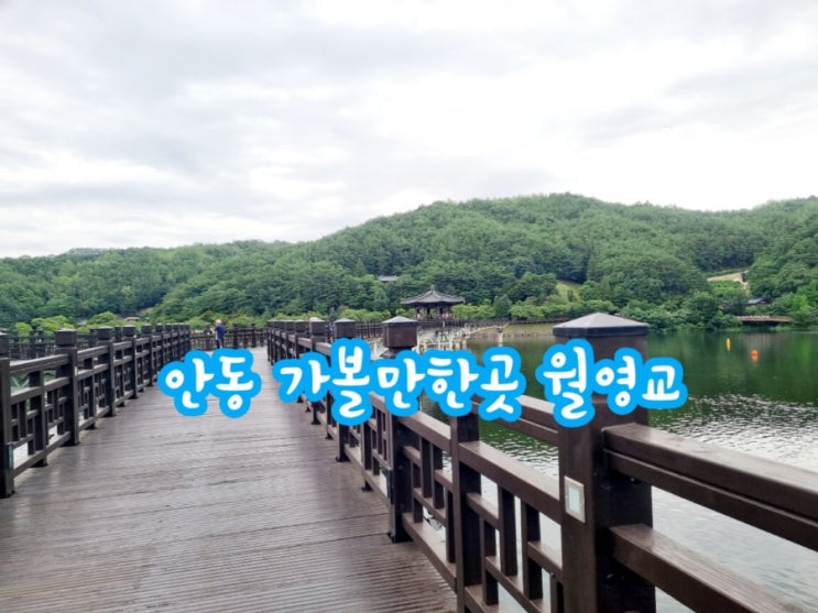 안동 가볼만한곳 월영교 (feat. 월영정)