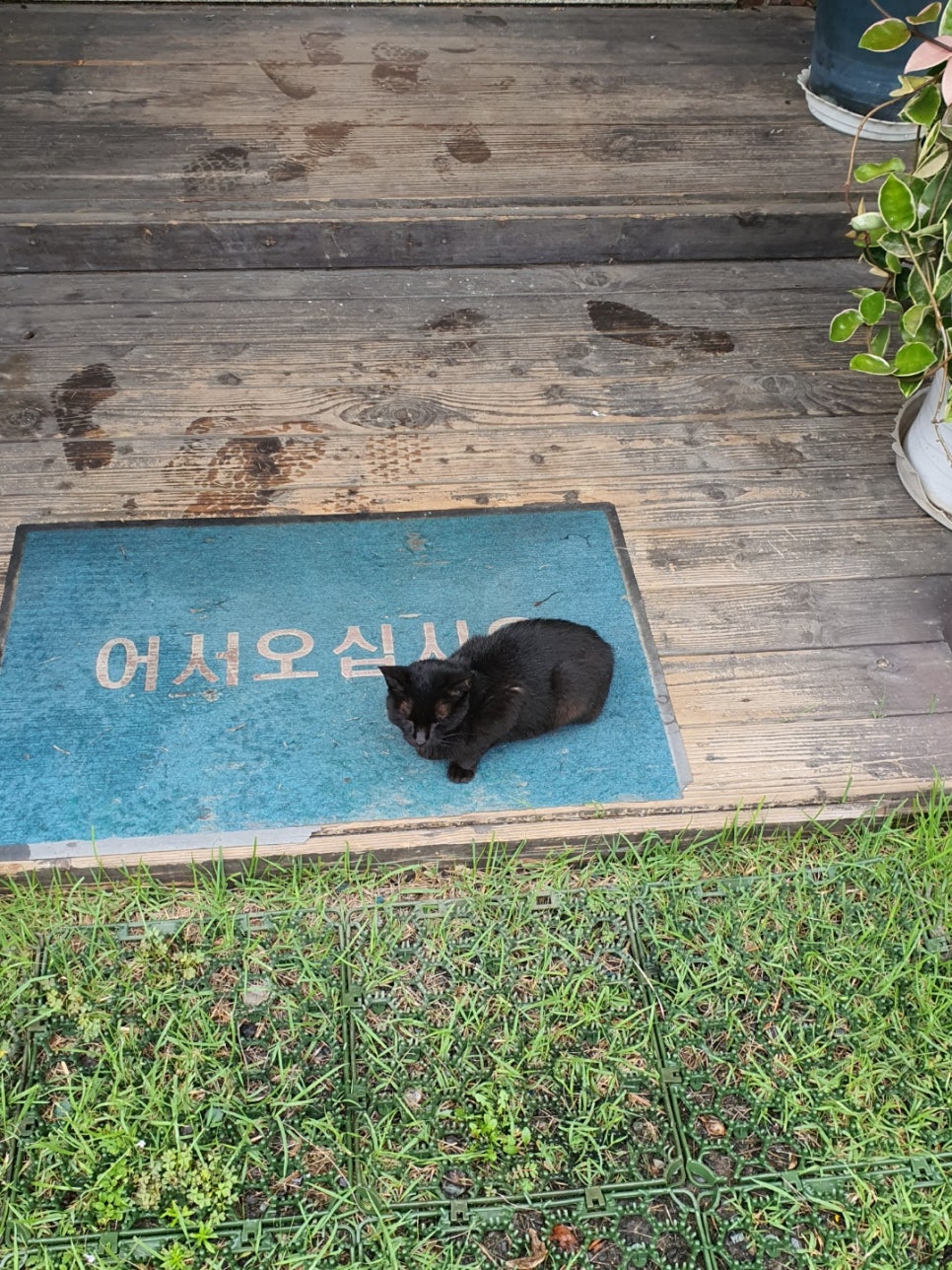 냉굴산장식당 사진 5