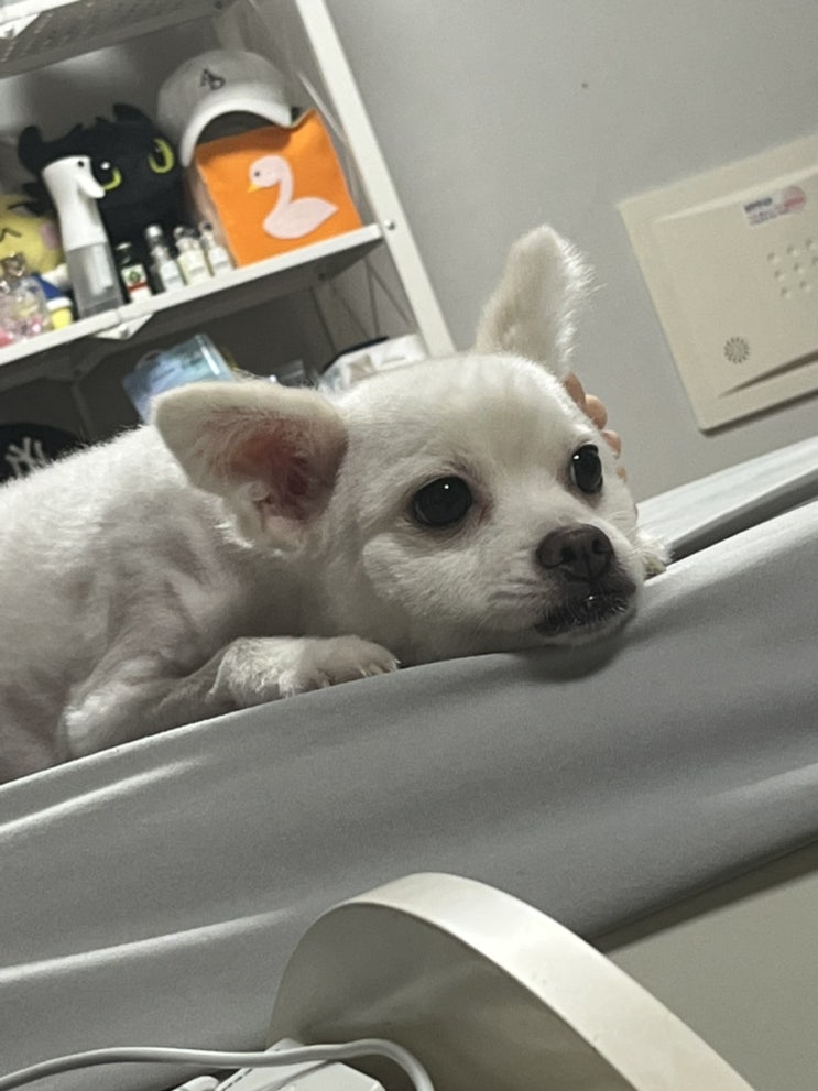  [일상] 여름휴가 시작을 알리며 재정비의 시간을 보내는 평화로운 한주