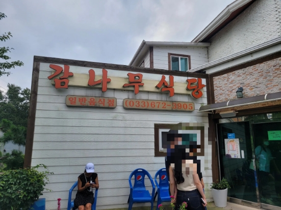  강원도 양양 아침식사 감나무식당 황태국밥