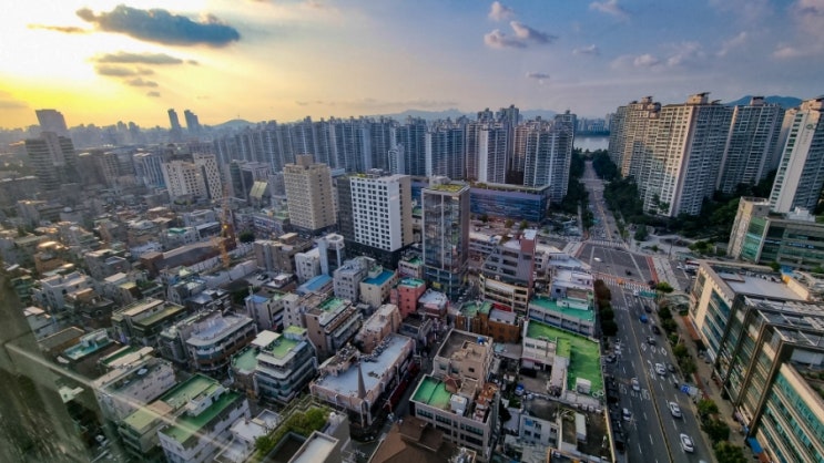  8월 셋째 주, 송파구 딸배의 일기