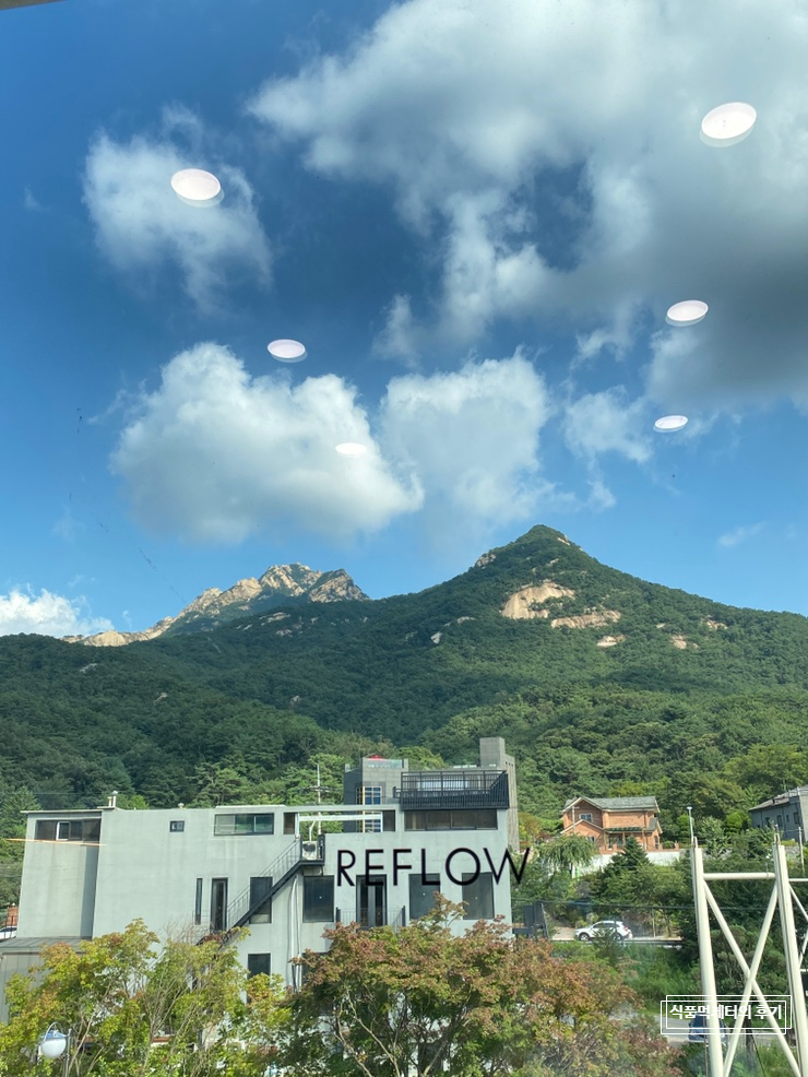  [블챌] 주간일기 :: 8/15~8/21