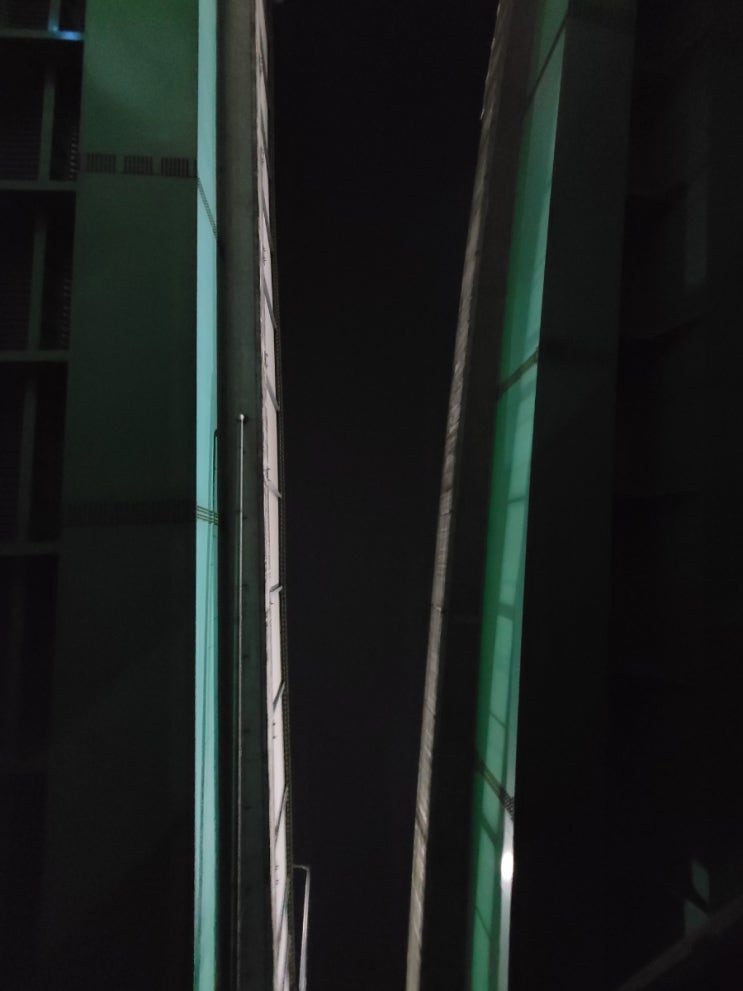  두 갈래 시선
