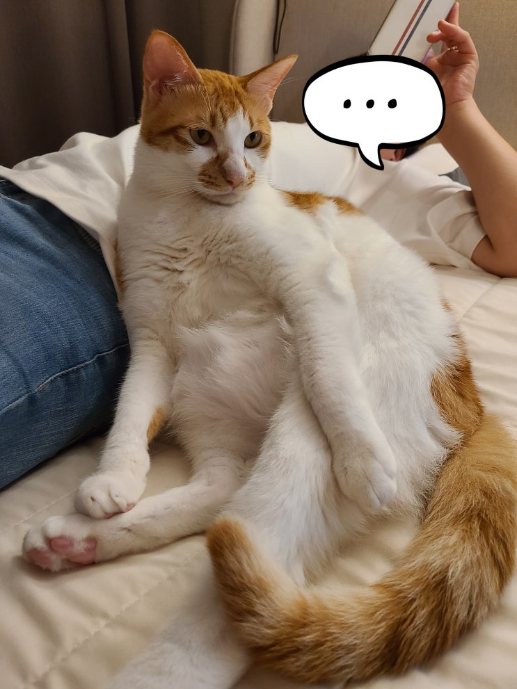  [주간일기] 8월 3주차 시간 참 빠르다...