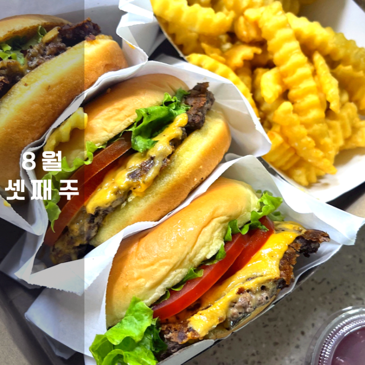  블로그 운영 위기 극복 마무리는 쉐이크쉑으로