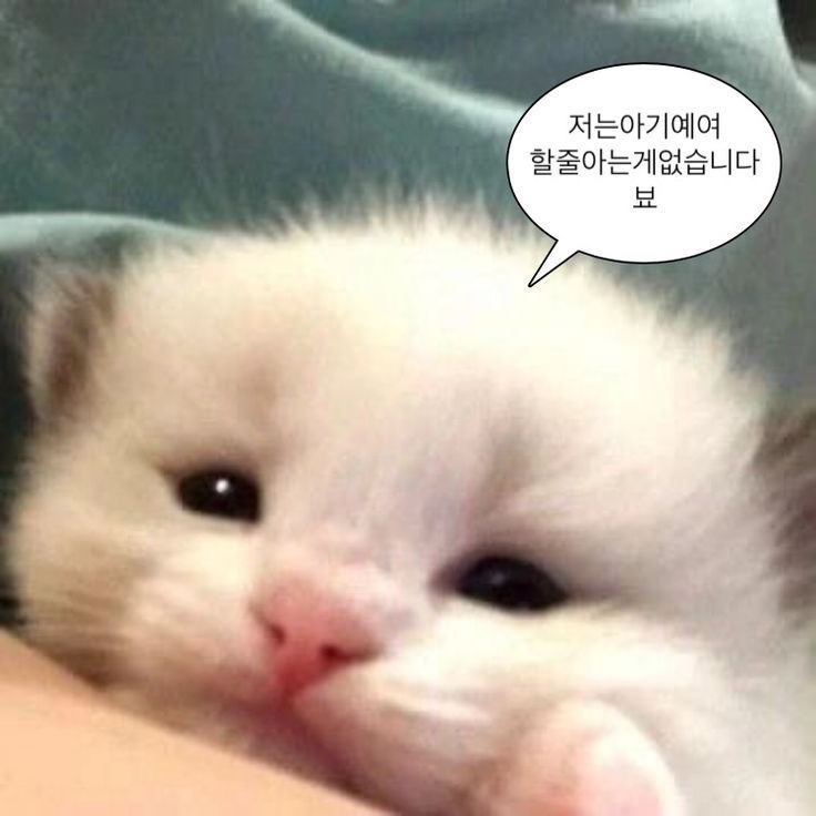  8/15-8/21 주간일기