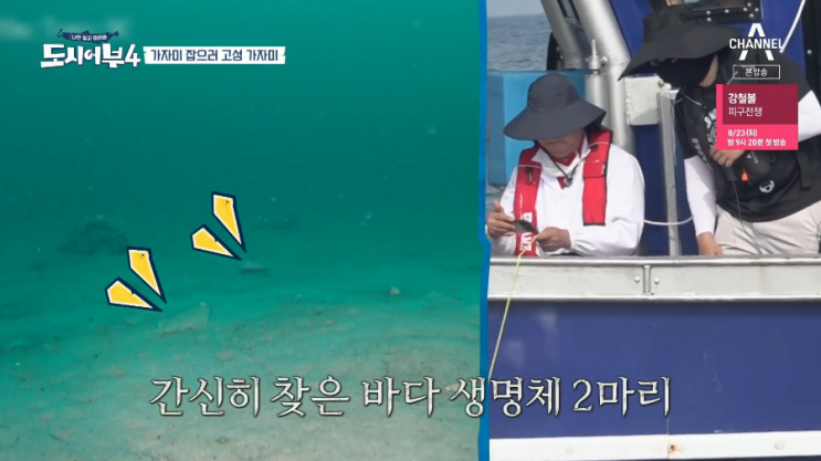  도시어부 시즌4 7화 고성 대왕문어낚시 및 대구낚시 고성별미여행