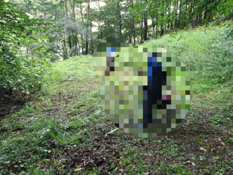  2022년 김천 봉산면 예지리 452 김천벌초 봉산벌초 벌초대행 추석벌초 김천고인돌장의사