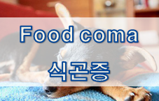  '음식/식당' 관련 재미있는 영어 표현