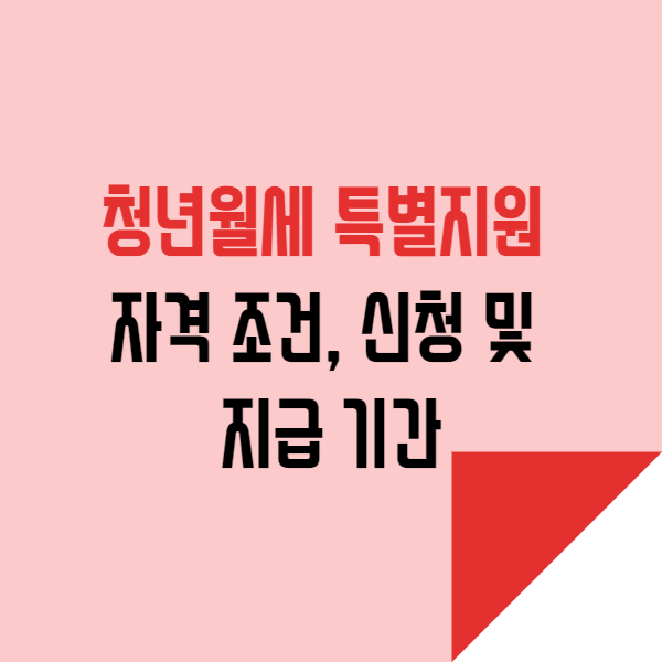  청년월세 특별 지원 자격 조건, 신청 및 지급 기간(feat. 국토교통부)