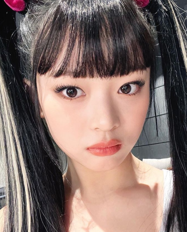뉴진스 하니 프로필 데뷔 전 국적 베트남 성격 취향 비주얼 정리