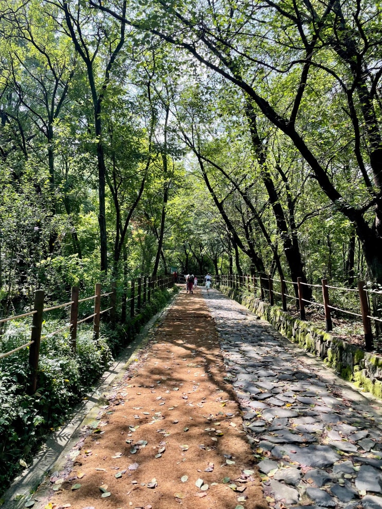 앞산공원 탐방