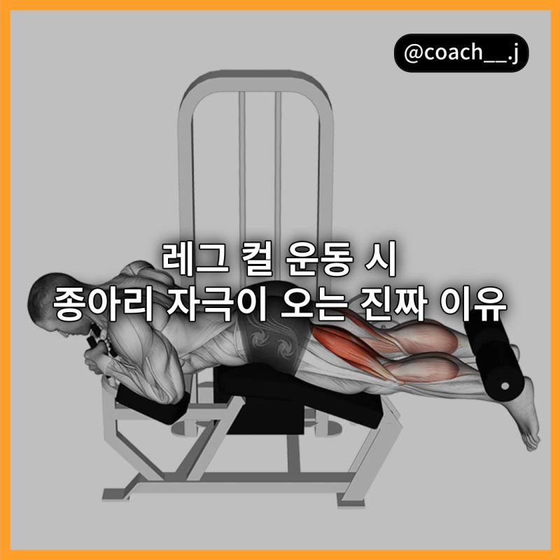 원주 헬스장 레그컬 종아리 자극이 오는 진짜 이유 : 네이버 블로그 원주 헬스장 레그컬 종아리 자극이 오는 진짜 이유 : 네이버 블로그