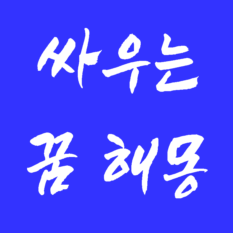싸우는꿈