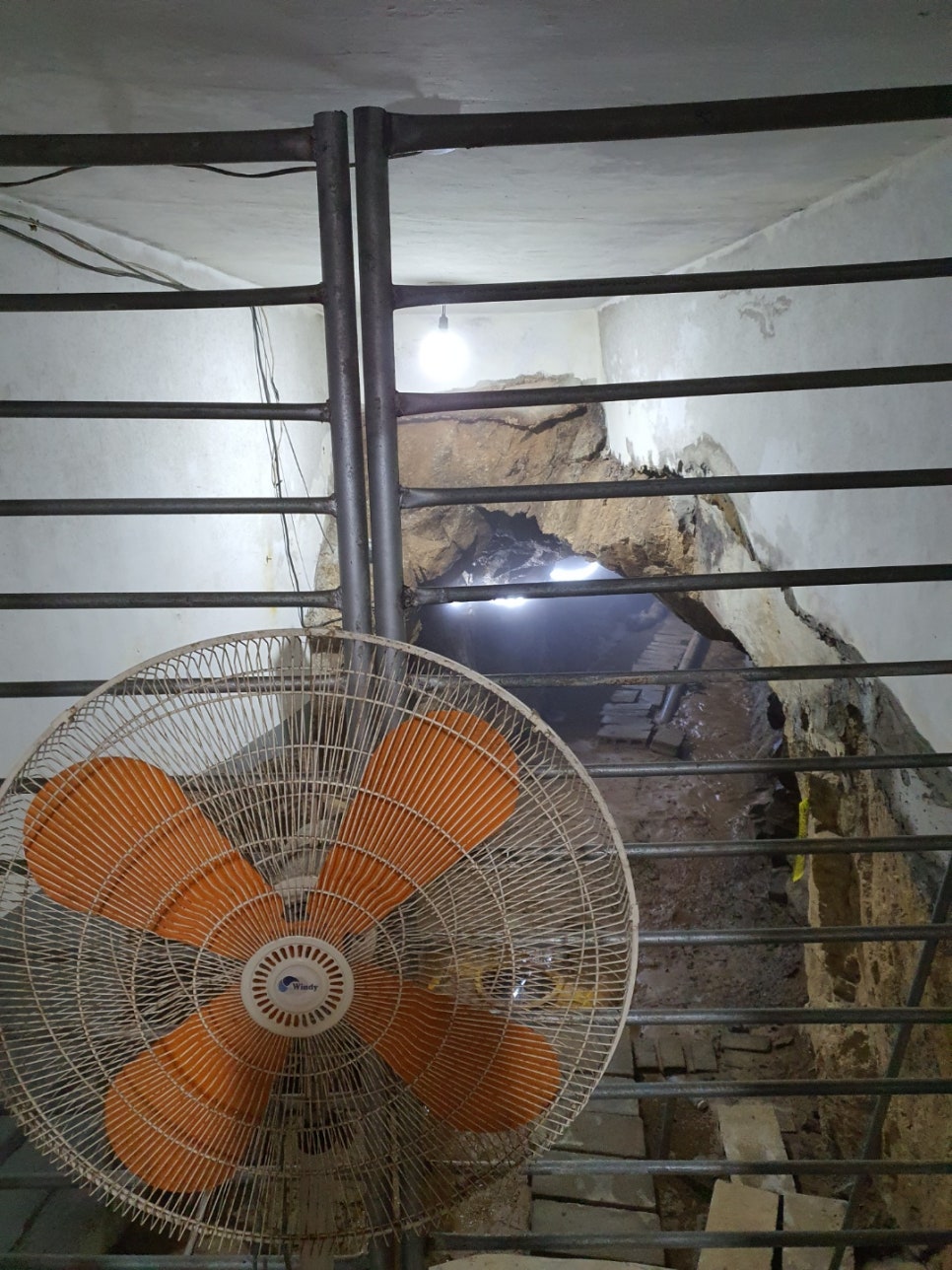 냉굴산장식당 사진 6