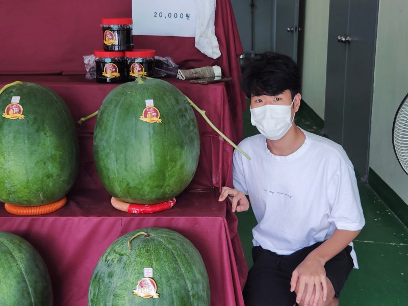 광주 특산품 '무등산 수박' 직판장 현지 구매 후기 (색다른 맛!)