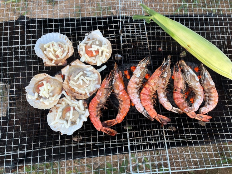  캠핑 조개구이 트립앤쿡 해산물 바베큐 새우 치즈가리비 세트 좋아요