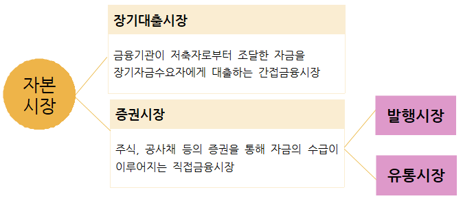  자본시장의 구조와 기능
