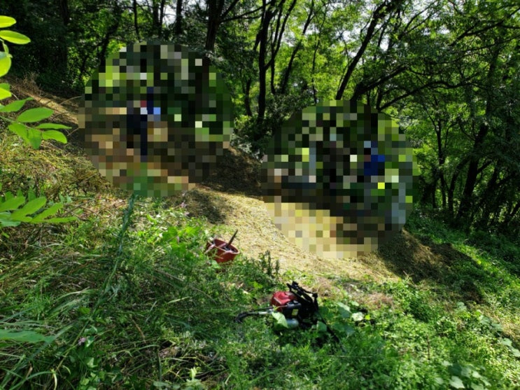  2022년 문경시 불정동 산104-1 문경벌초 불정동벌초 벌초대행 추석벌초 김천벌초 선산벌초 구미벌초 고인돌장묘개발