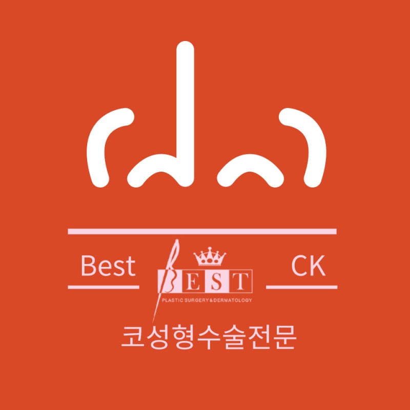노원역 베스트 성형외과 피부과 수술 7