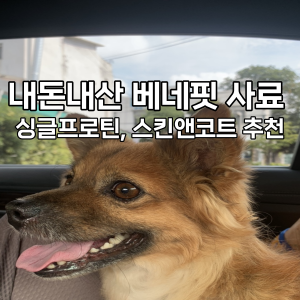  베네핏 사료(싱글프로틴,스킨앤코트) 알러지, 눈물로 고생인 누렁을 위한 사료 선물