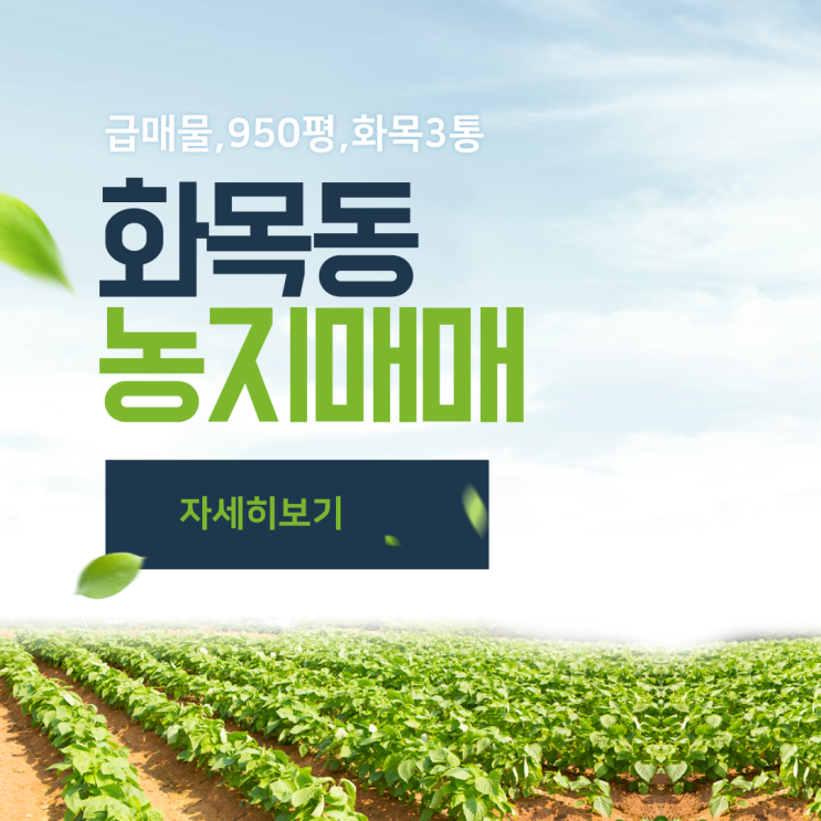 김해토지 화목동 3통 농지매매 급매물 950평