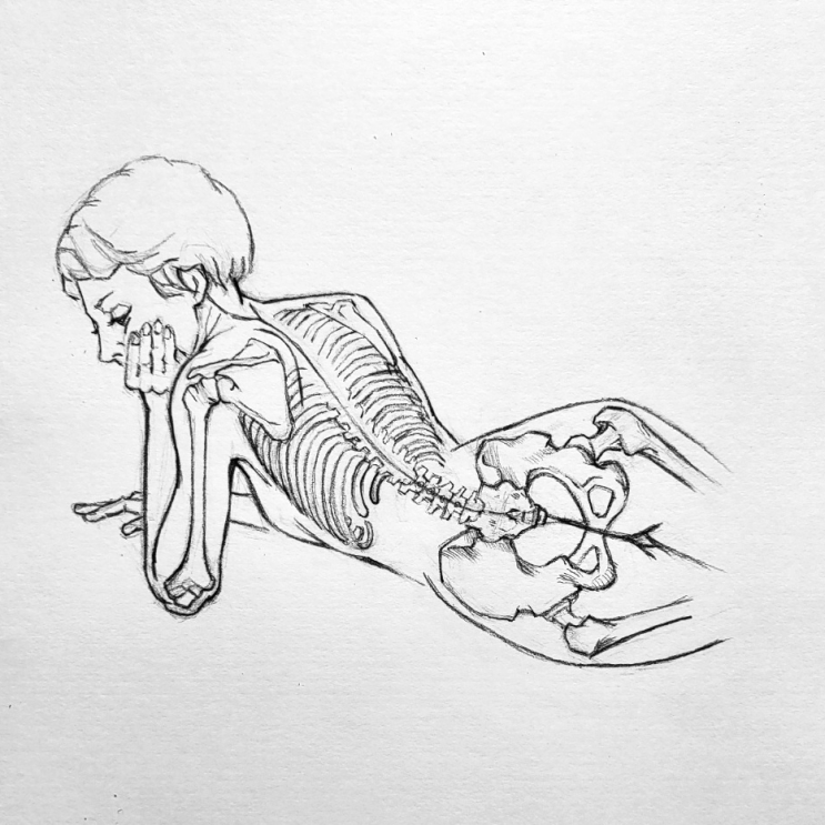 인체해부와 묘사법 - 척추와 추골