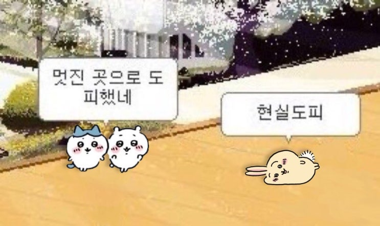  8월 4주차 주간일기