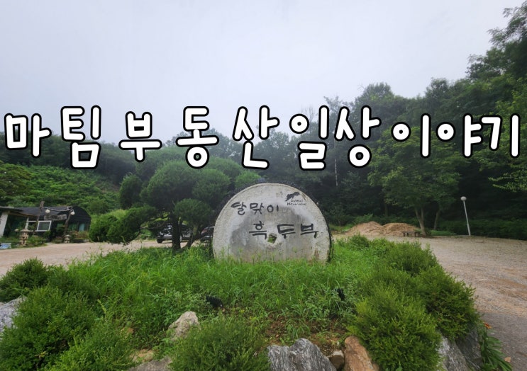  달맞이흑두부