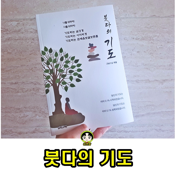  붓다의 기도 : 금강경 아미타경 관세음보살보문품
