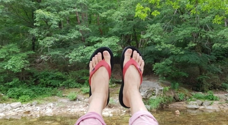 충주 여행 가볼만한 곳 추천/포토 스팟/벚꽃 명소/계곡/어린이 놀이 시설/라바랜드/드라마 촬영지