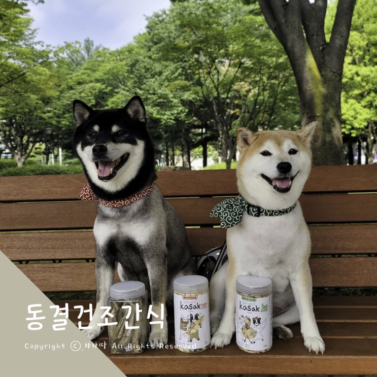  영양가득 반려동물 동결건조간식 펫어클락 카샥트릿