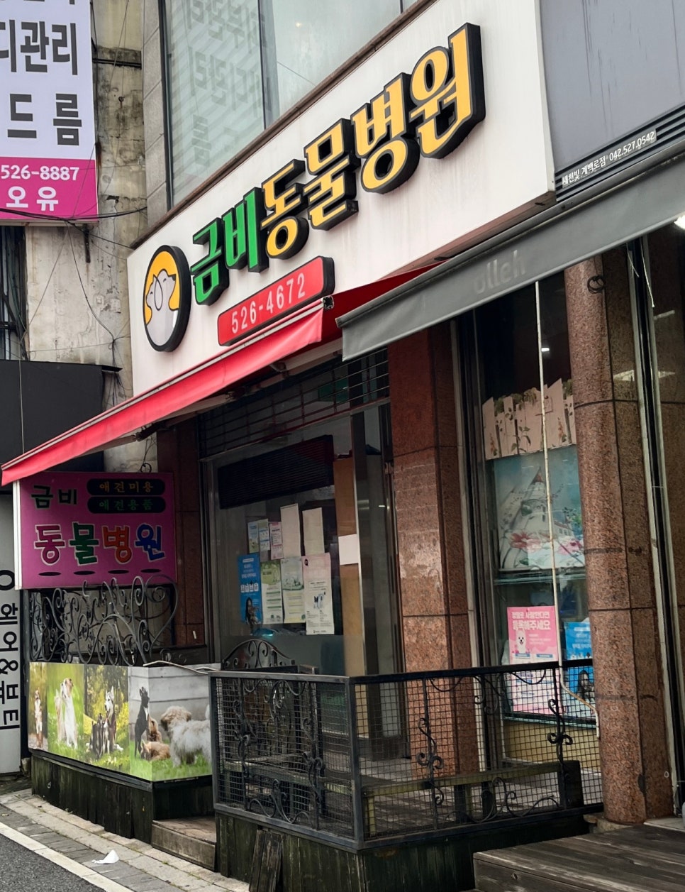 금비동물병원 사진 1