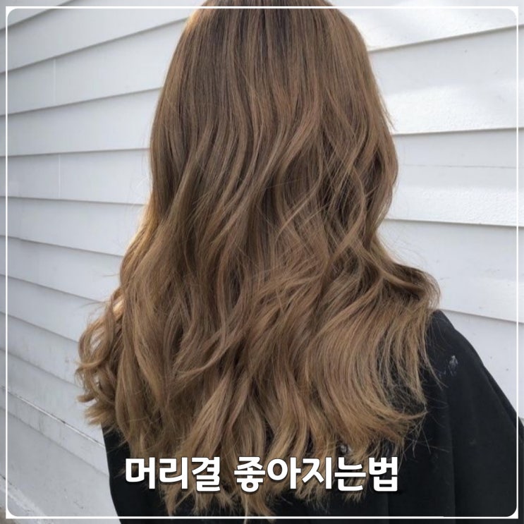 돈안들이고 머리결좋아지는법 4가지 돈안들이고 머리결좋아지는법 4가지