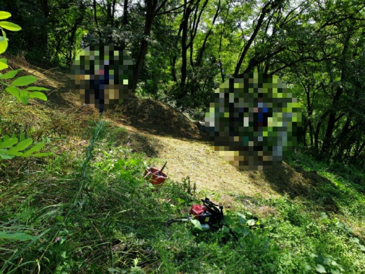  2022년 문경시 불정동 산104-1 문경벌초 불정동벌초 상주벌초 선산벌초 벌초대행 추석벌초  김천고인돌장의사