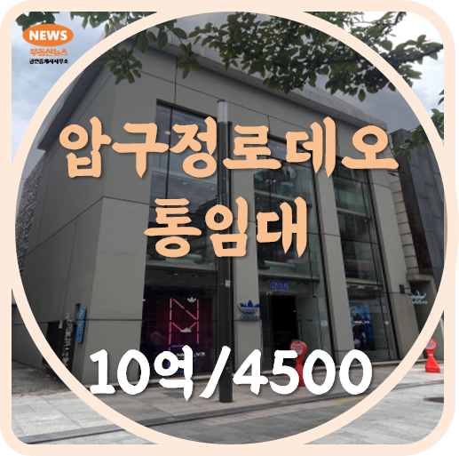  압구정로데오 상가 임대 건물통임대 신사동 도산공원